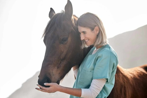 Comment bien choisir une assurance cheval ?